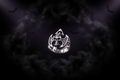 Skull Bat Gothic Ring