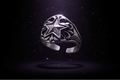 The Astral Crest Ring(ADJUSTABLE)