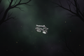 Witch’s Forest Signet